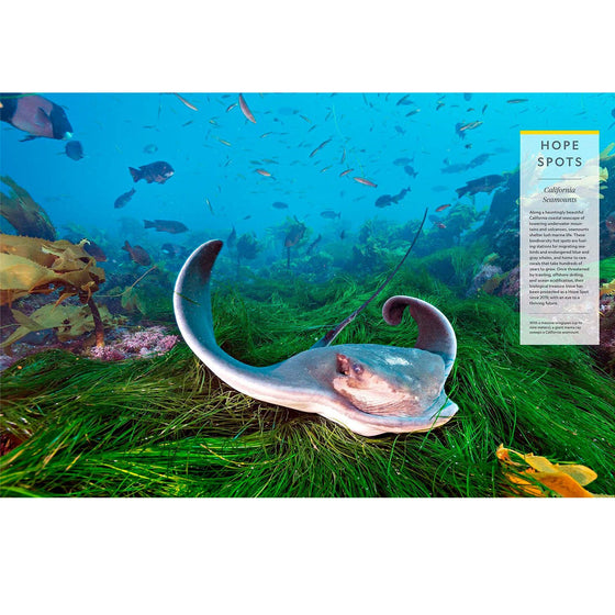 National-Geographic-Ocean-A-Global-Odyssey-3