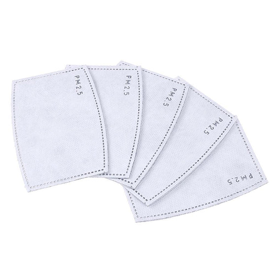 5 Pack - Replacement PM 2.5 Carbon Filters