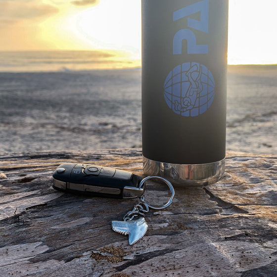 Tiger Shark Tooth Key Chain